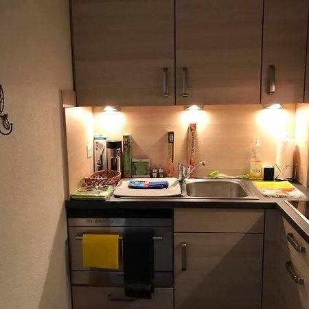 Beautiful 2.5 Room Apartment In Lucern Exteriér fotografie