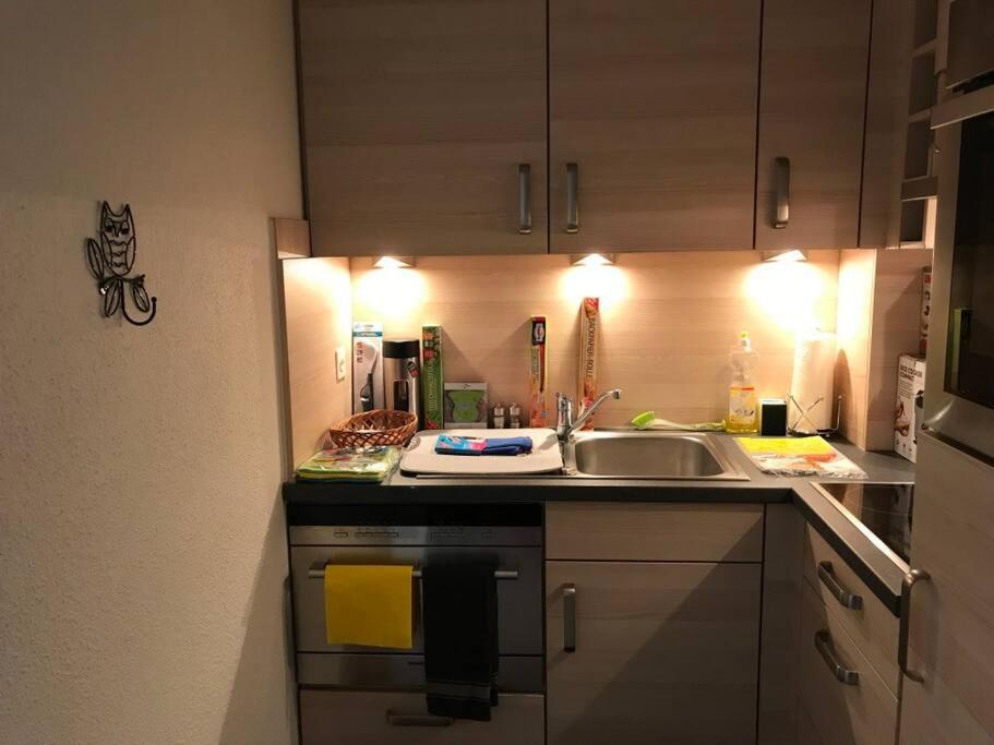 Beautiful 2.5 Room Apartment In Lucern Exteriér fotografie